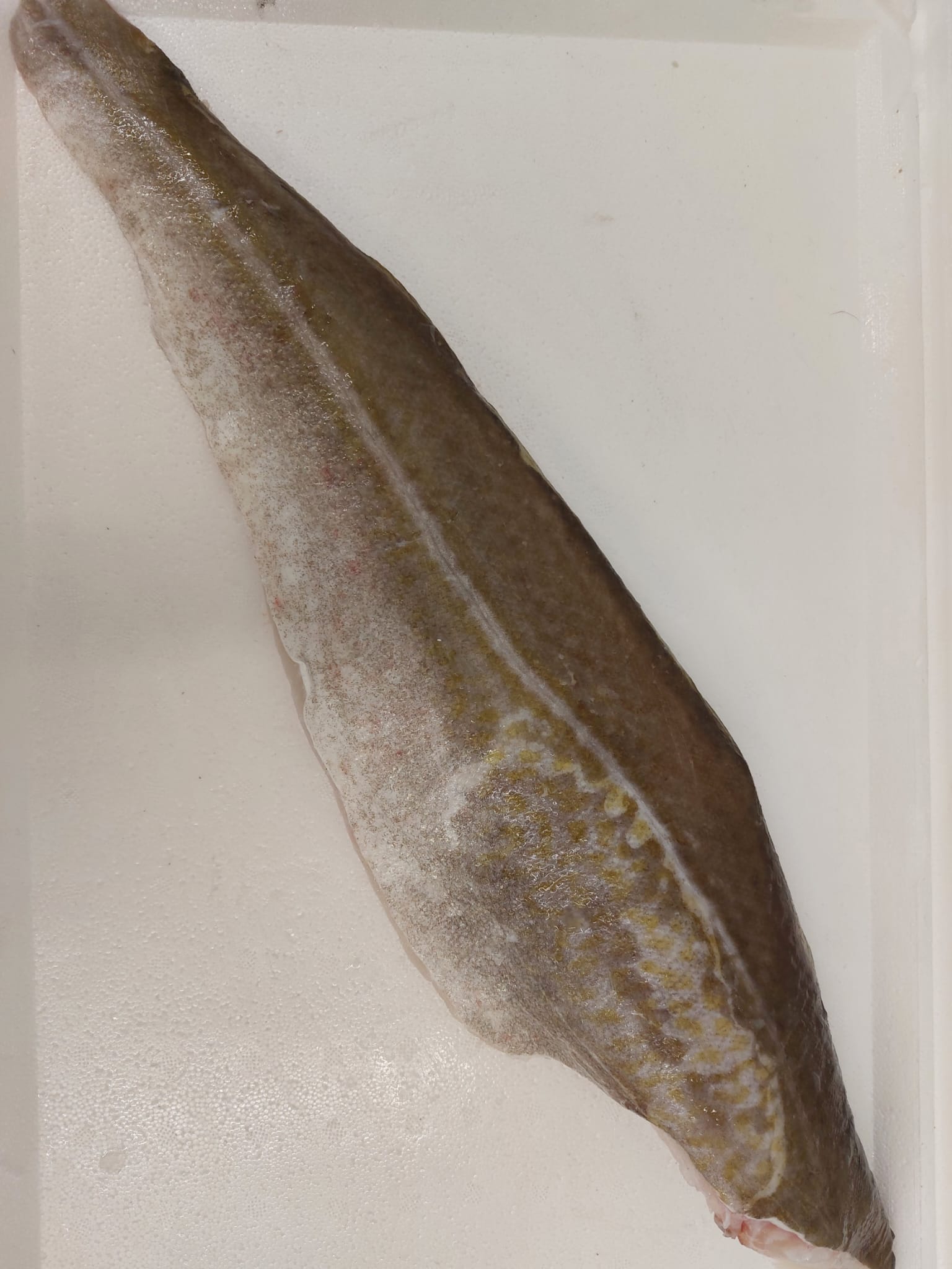 /largecodfillet.jpg
